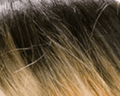 Dream Hair Schwarz-Blond Mix #ST1B/125H Dream Hair Wig Beyonce Synthetic Hair,Kunsthaar Perücke
