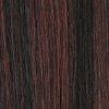 Hair by Sleek Health & Beauty Schwarz-Mahagony Mix #F1B/33 Hair by Sleek Big Afro eZ Ponytail Synthetic Hair