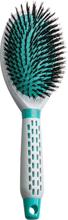 Dapper and Dainty Health & Beauty Dapper and Dainty - Pagaie ovale thermique blanche et turquoise en nylon 100% sanglier