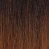 Dream Hair Braids Exception 4x Pre Stretched 100% Kunsthaar 4 pcs, 170g - Gtworld.de