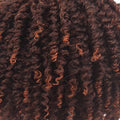 Dream Hair Braun Kupfer Mix T2/145I WIG Jamaica Collection Kinky Curly