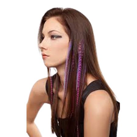 Dream Hair Dream Hair 2 Clip-In Feather Extensions 16"/40Cm Synthetic Hair, Feder Haarteil