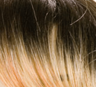 Dream Hair Schwarz-Blond Mix
