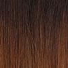 Dream Hair Schwarz-Braun Mix Ombré #T1B/30 Perücke Jullet synthetisches Haar