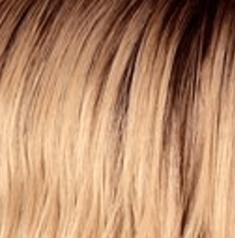 Hair by Sleek TT10/ASH Hair By Sleek 101 Callie Lace Wig Synthetic Hair