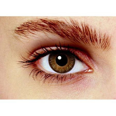 Hollywood Luxury Color Lenses Hollywood Luxury Color Lenses: Chestnut Brown