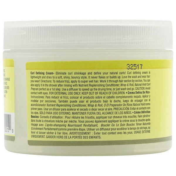 Jane Carter Curl Defining Cream 170g | gtworld.be 