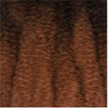 Janet Collection Schwarz-Mahagony Mix Ombre #OET1B/33 Janet Collection 6x EZ TEX Pre-Stretched 56" Synthetic Hair
