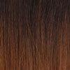 Sensationnel Health & Beauty Schwarz-Braun Mix Ombré #T1B/30 Sensationnel  African Collection - Senegal  Twist 40" Synthetic Hair