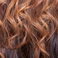 Sensationnel Kupfer-Mahagony Mix #DX2733 Senstionnel  Lace Front Edge Gemma L Parting HRF Synthetic Hair